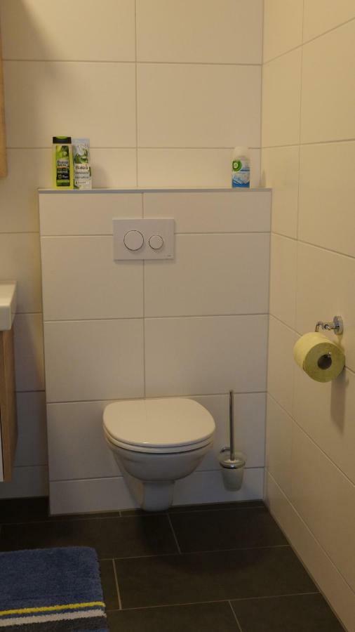 Appartement Haus Konny à Schladming Extérieur photo